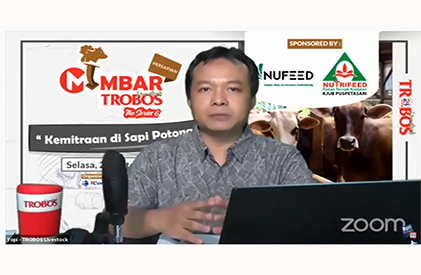  MIMBAR the Series 6: Kemitraan di Peternakan Sapi Potong
